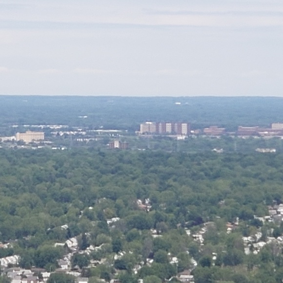 Meet your Posher, Timothy - Picture 1 of 1